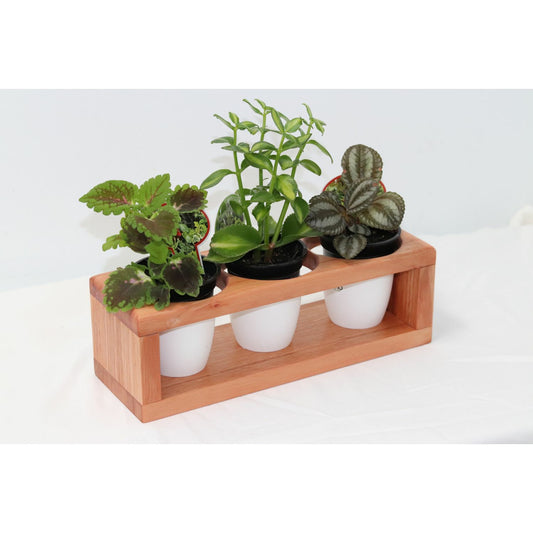 Baby Plant Display Stand