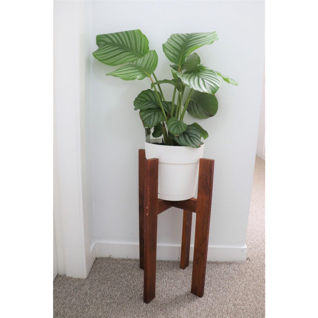 Plant Stand Mid Century Modern - Medium