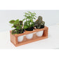 Baby Plant Display Stand